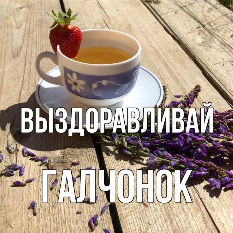 Картинка Выздоравливай, галчонок