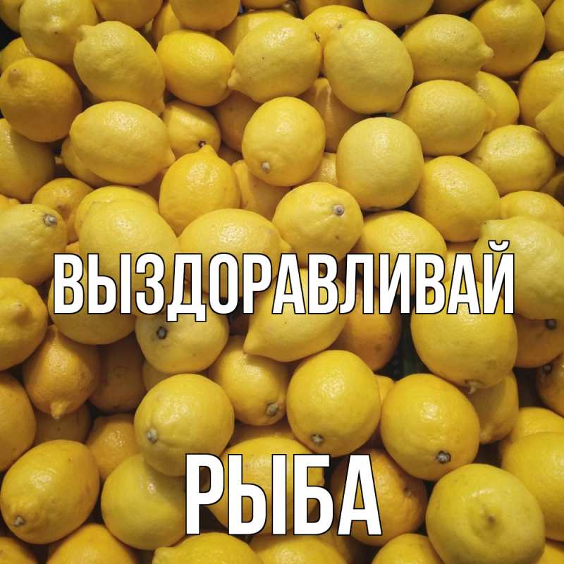 Картинка Выздоравливай, Рыба