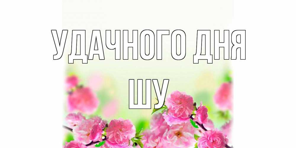 Открытка на каждый день с именем, Шу Удачного дня цветы Прикольная открытка с пожеланием онлайн скачать бесплатно 