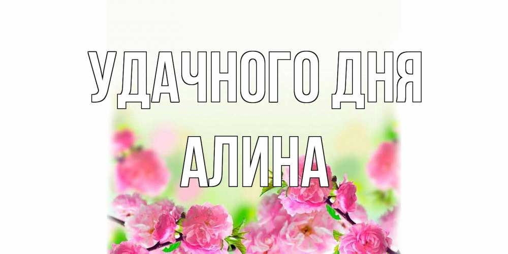 Открытка на каждый день с именем, Алина Удачного дня цветы Прикольная открытка с пожеланием онлайн скачать бесплатно 