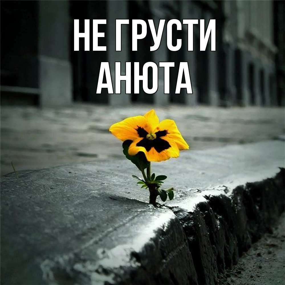 Открытка на каждый день с именем, Анюта Не грусти не сдавайся Прикольная открытка с пожеланием онлайн скачать бесплатно 