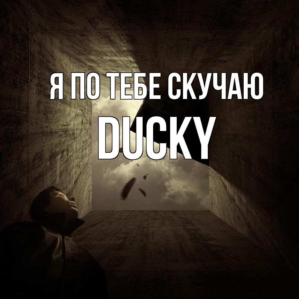 Открытка на каждый день с именем, Ducky Я по тебе скучаю тут Прикольная открытка с пожеланием онлайн скачать бесплатно 