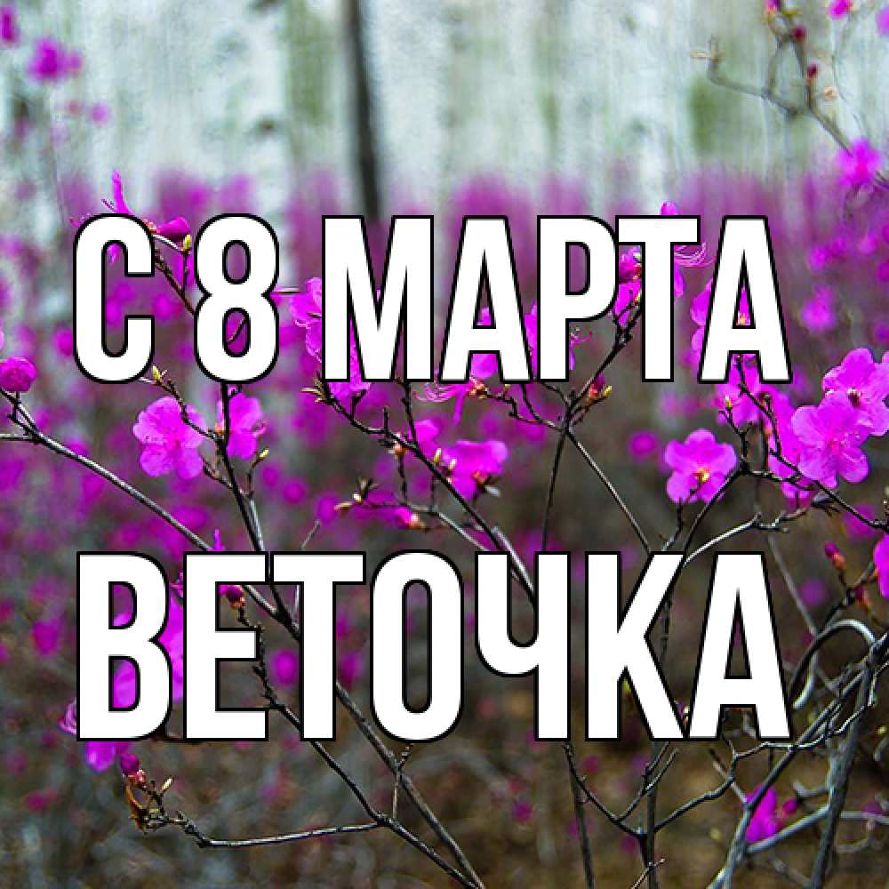 Открытка на каждый день с именем, Веточка C 8 МАРТА дикие цветы Прикольная открытка с пожеланием онлайн скачать бесплатно 