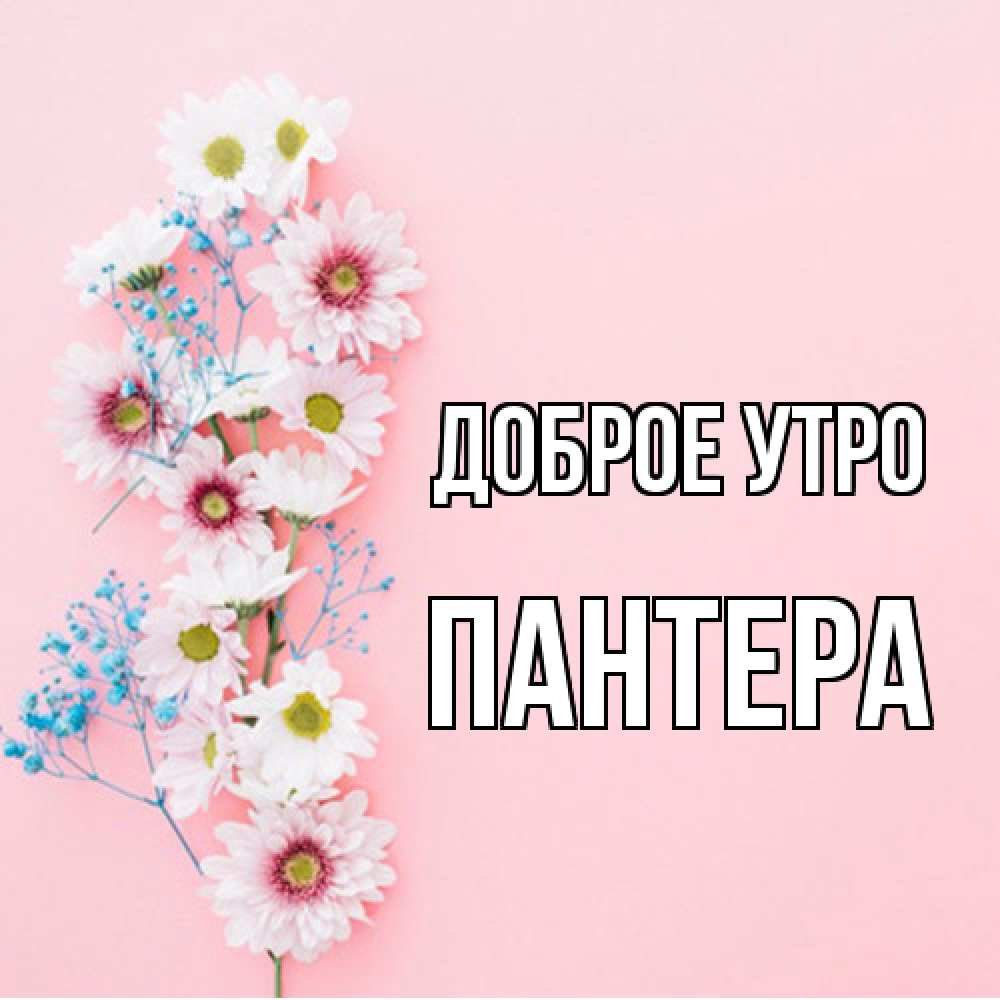 Открытка на каждый день с именем, Пантера Доброе утро цветы с подписью Прикольная открытка с пожеланием онлайн скачать бесплатно 