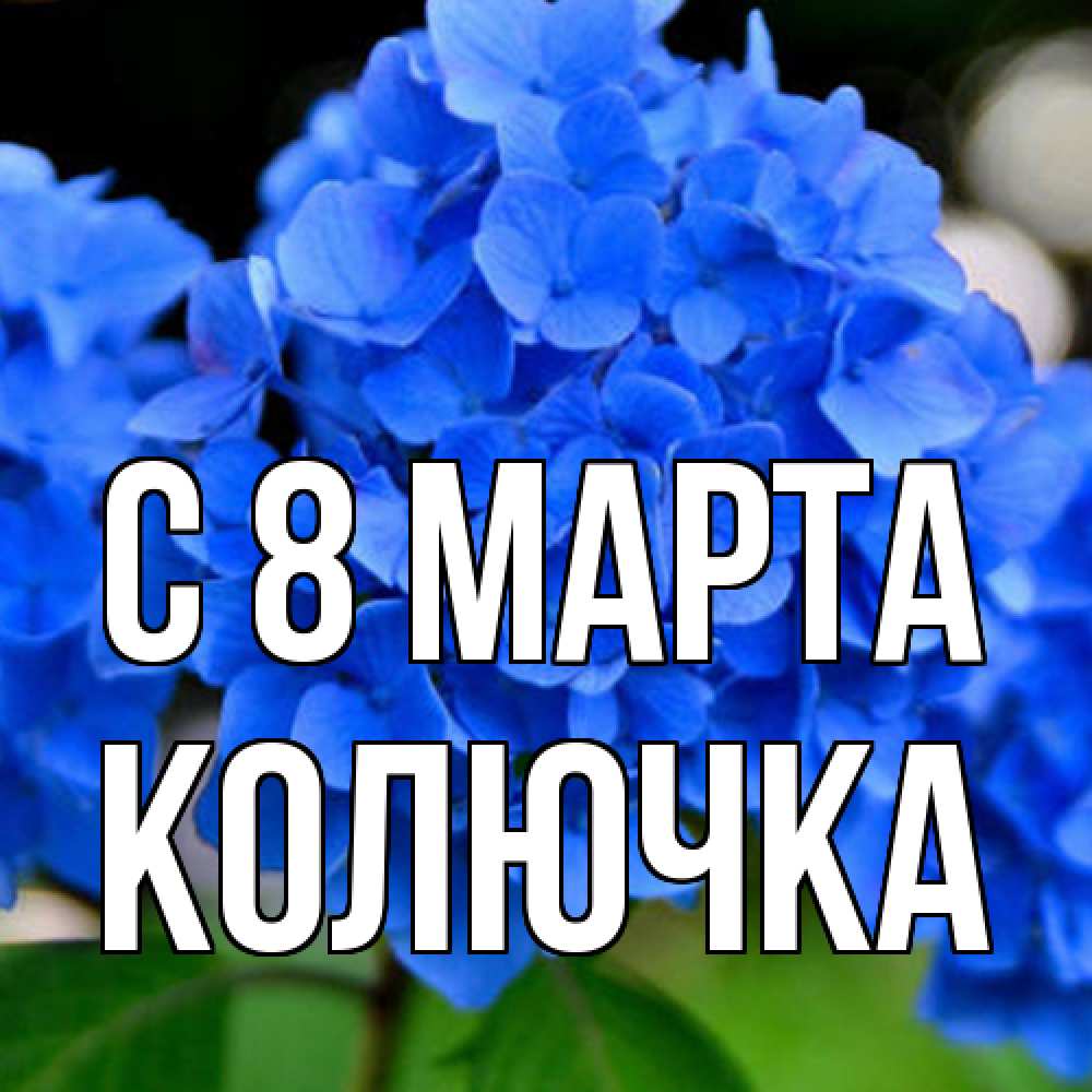 Открытка на каждый день с именем, Колючка C 8 МАРТА синие цветы Прикольная открытка с пожеланием онлайн скачать бесплатно 