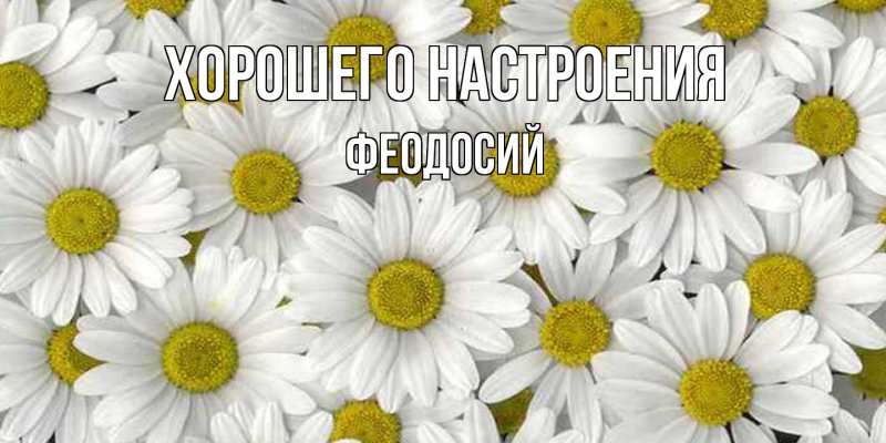 Картинка Хорошего настроения, Феодосий
