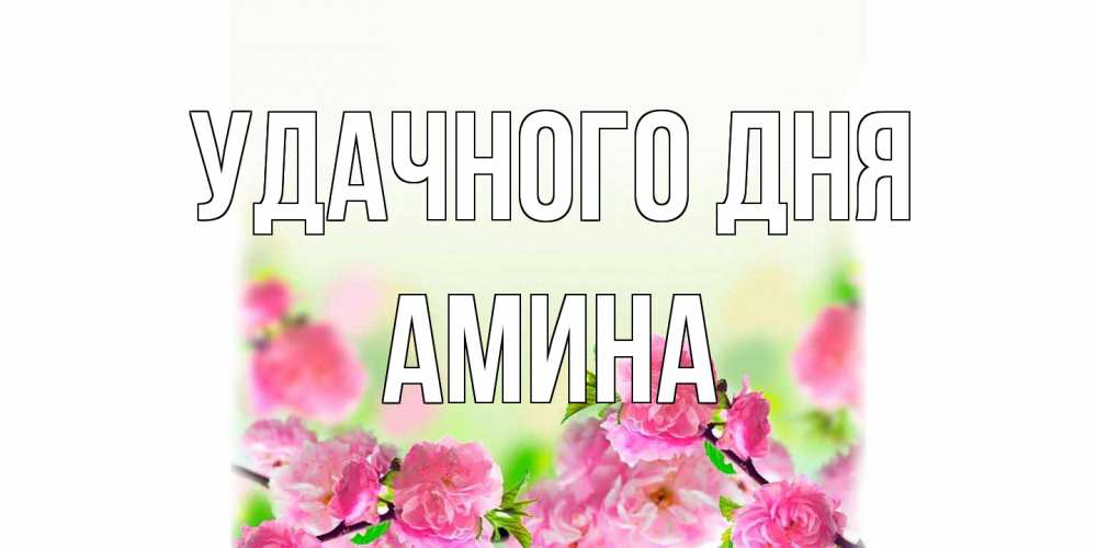 Открытка на каждый день с именем, Амина Удачного дня цветы Прикольная открытка с пожеланием онлайн скачать бесплатно 