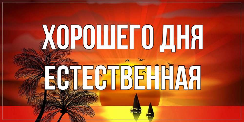 Открытка на каждый день с именем, Естественная Хорошего дня открытки с пожеланиями хорошего дня Прикольная открытка с пожеланием онлайн скачать бесплатно 