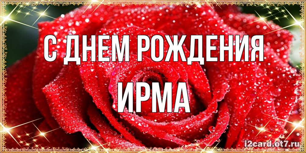 Открытка на каждый день с именем, Ирма С днем рождения роса и роза. открытка с красивой розой Прикольная открытка с пожеланием онлайн скачать бесплатно 