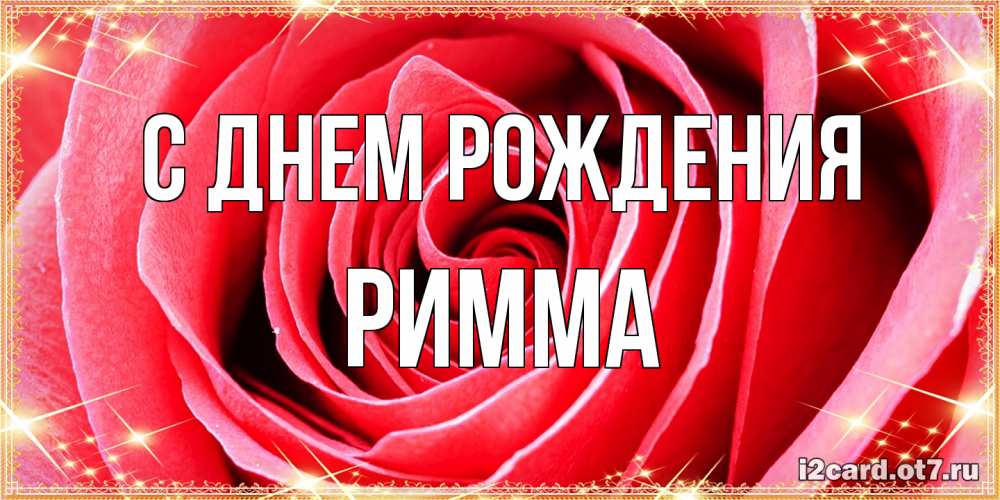 Открытка на каждый день с именем, Римма С днем рождения розовая роза очень крупный бутон Прикольная открытка с пожеланием онлайн скачать бесплатно 