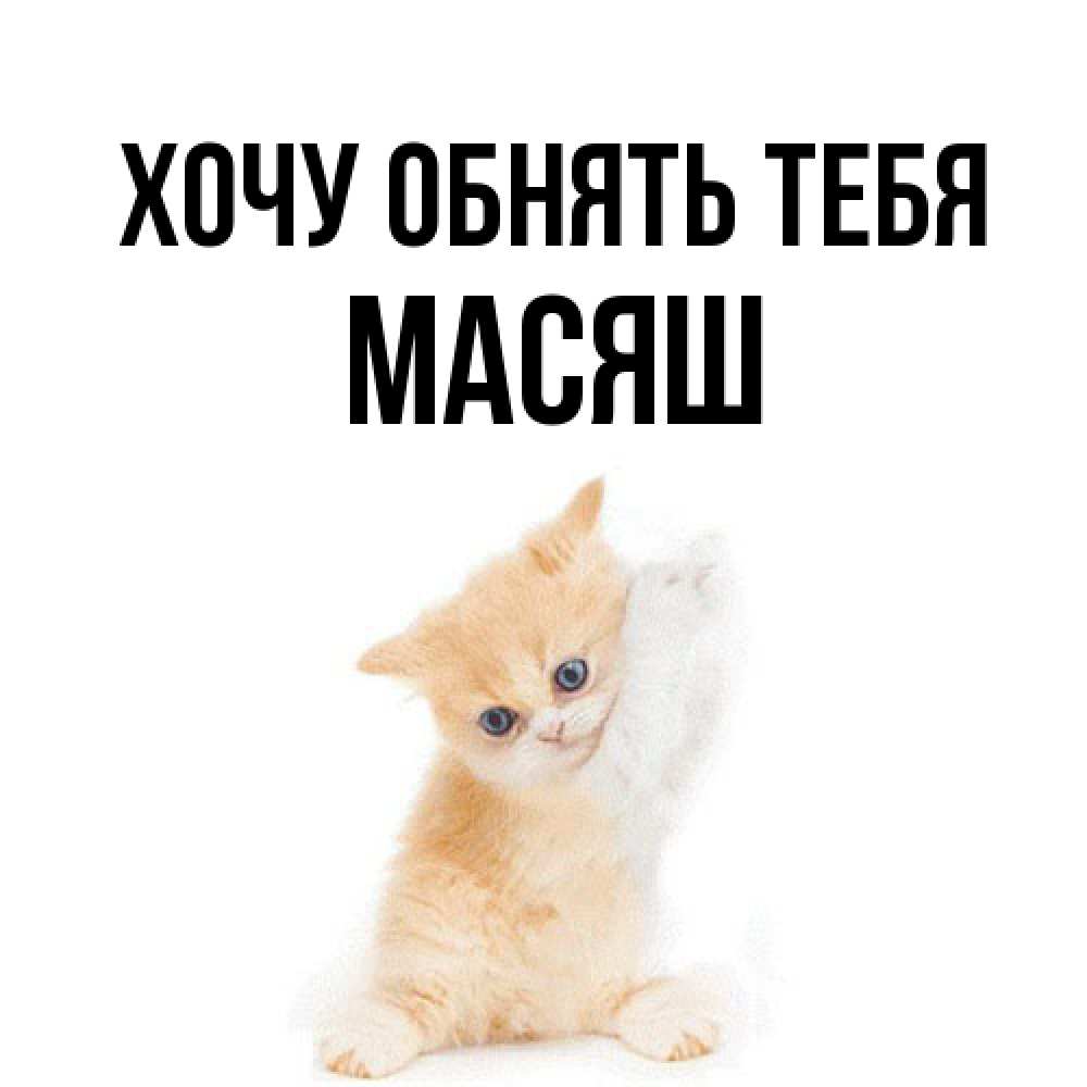 Открытка на каждый день с именем, Масяш Хочу обнять тебя я хочу очень скорее обнимаешек Прикольная открытка с пожеланием онлайн скачать бесплатно 