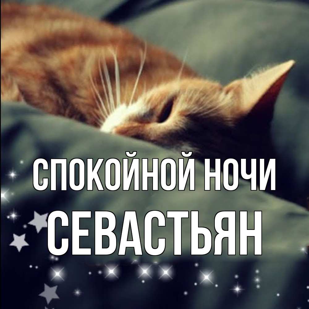 Открытка на каждый день с именем, Севастьян Спокойной ночи кроватка Прикольная открытка с пожеланием онлайн скачать бесплатно 