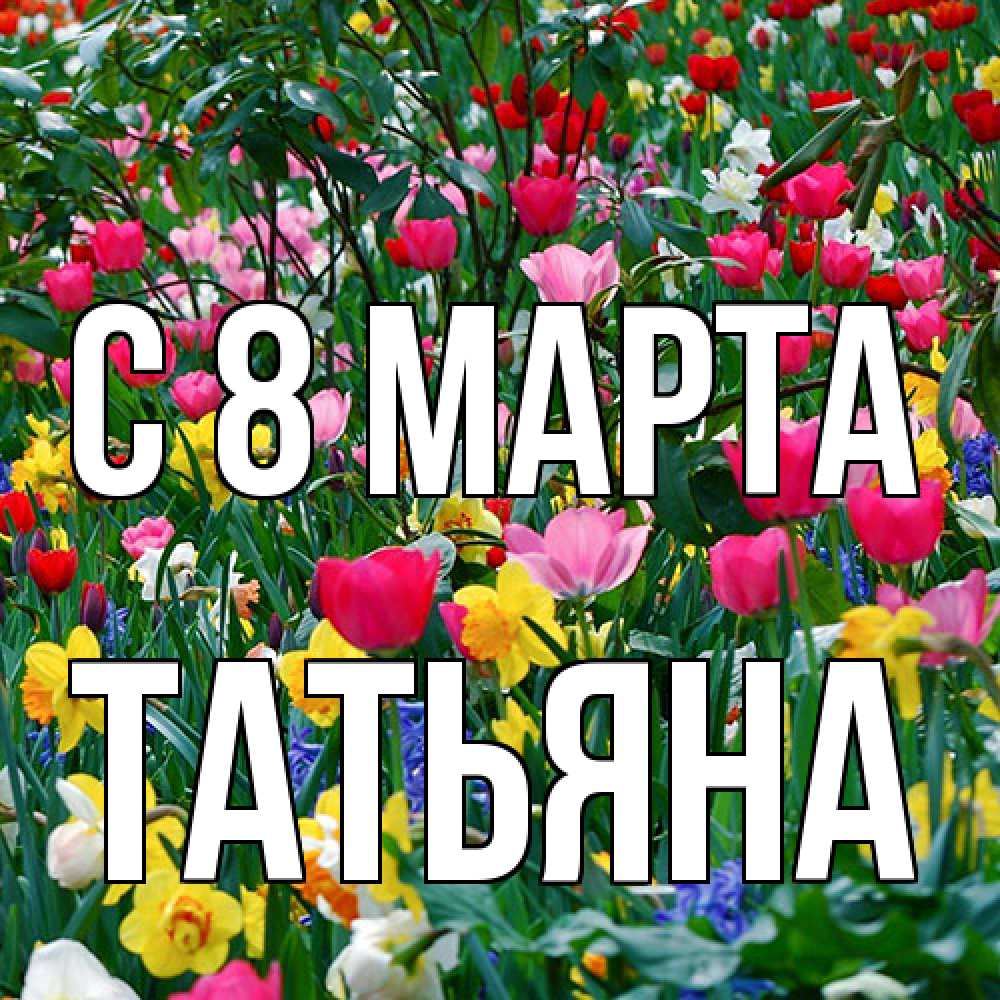 Открытка на каждый день с именем, Татьяна C 8 МАРТА с международным женским днем поздравления для женщины Прикольная открытка с пожеланием онлайн скачать бесплатно 
