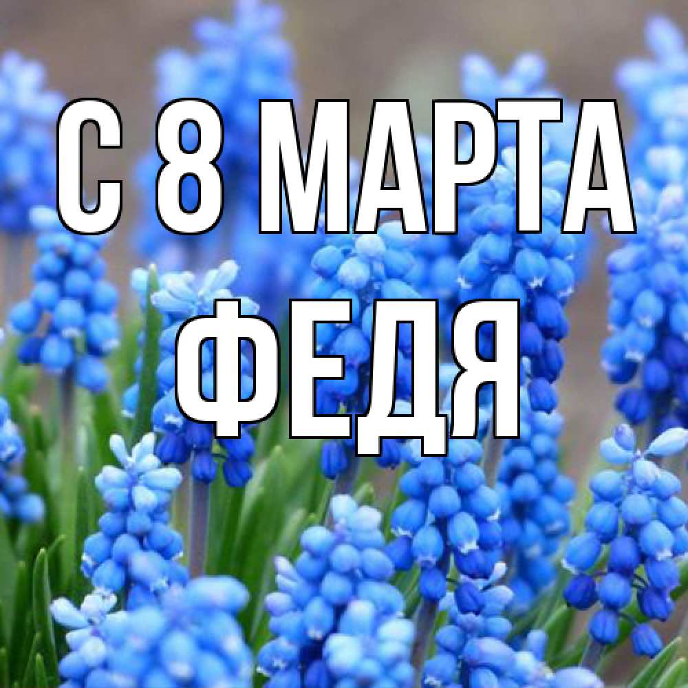 Открытка на каждый день с именем, Федя C 8 МАРТА Поздравительная открытка для женщин с цветами на праздничную дату Прикольная открытка с пожеланием онлайн скачать бесплатно 