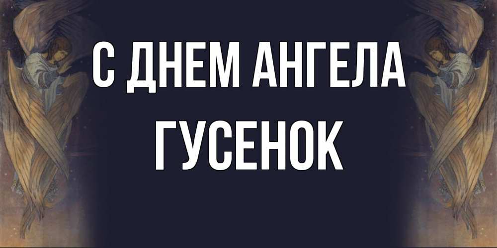Открытка на каждый день с именем, гусенок С днем ангела день ангела Прикольная открытка с пожеланием онлайн скачать бесплатно 