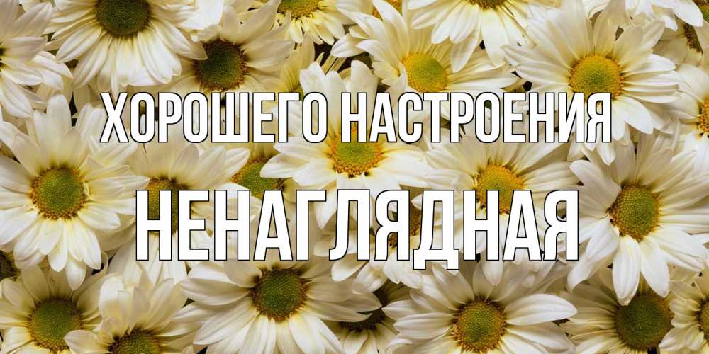 Открытка на каждый день с именем, Ненаглядная Хорошего настроения крупные ромашки Прикольная открытка с пожеланием онлайн скачать бесплатно 