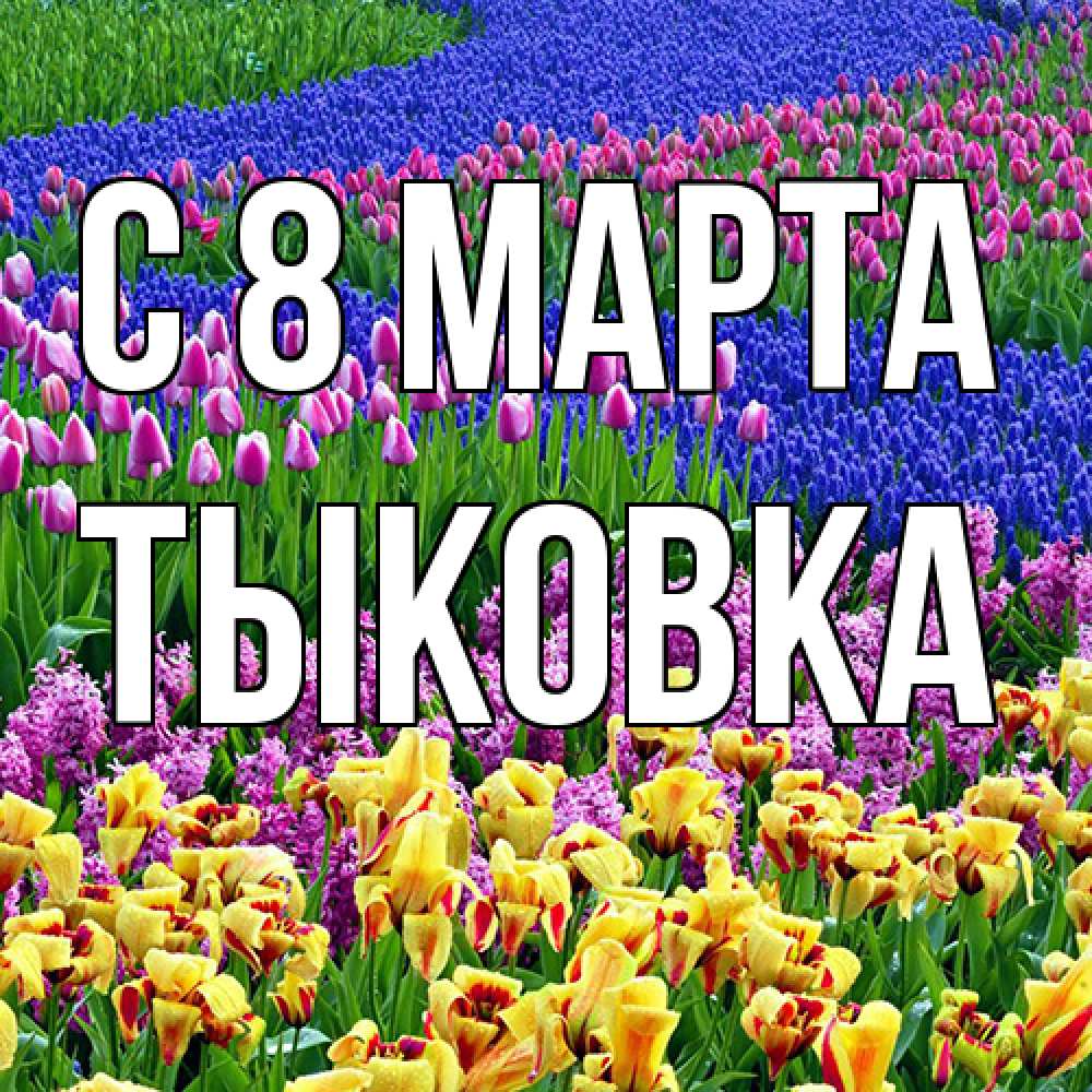 Открытка на каждый день с именем, тыковка C 8 МАРТА цветы Прикольная открытка с пожеланием онлайн скачать бесплатно 