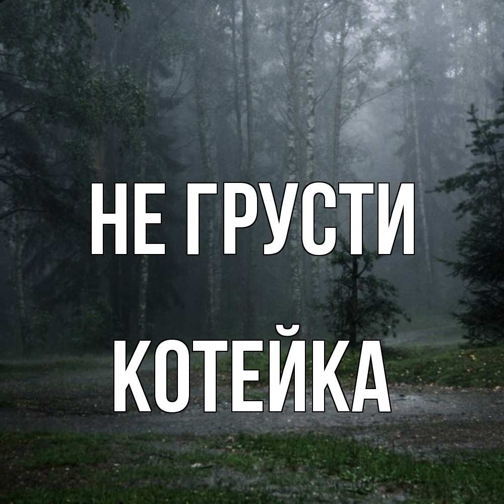 Открытка на каждый день с именем, Котейка Не грусти осень Прикольная открытка с пожеланием онлайн скачать бесплатно 
