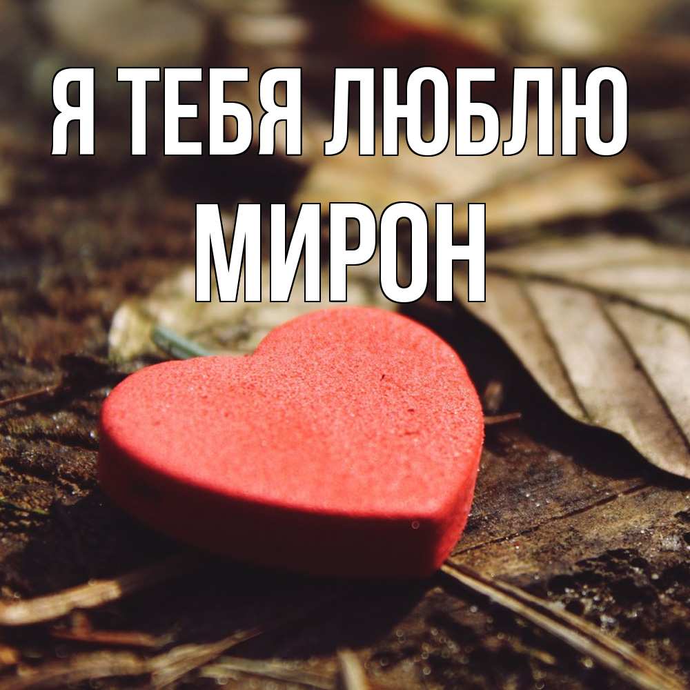 Открытка на каждый день с именем, Мирон Я тебя люблю листья деревье 4 Прикольная открытка с пожеланием онлайн скачать бесплатно 