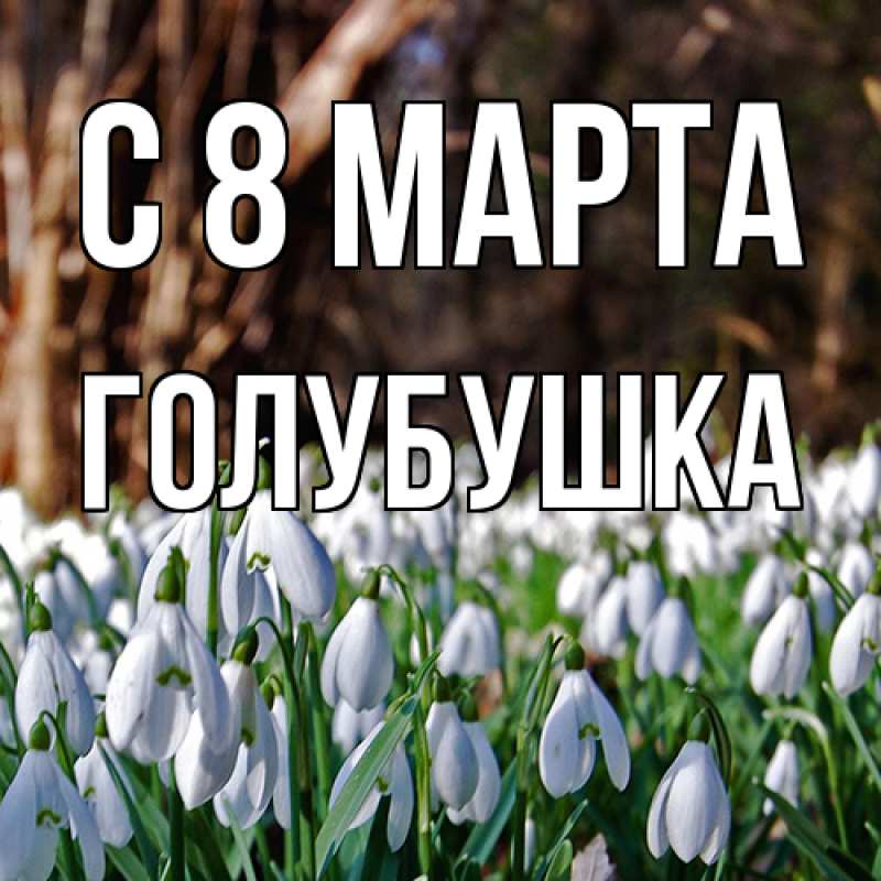 Картинка C 8 МАРТА, Голубушка