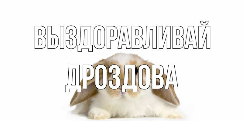 Картинка Выздоравливай, Дроздова
