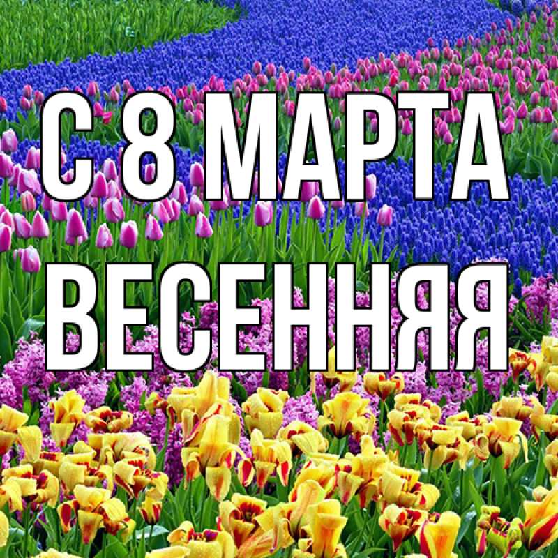 Картинка C 8 МАРТА, Весенняя
