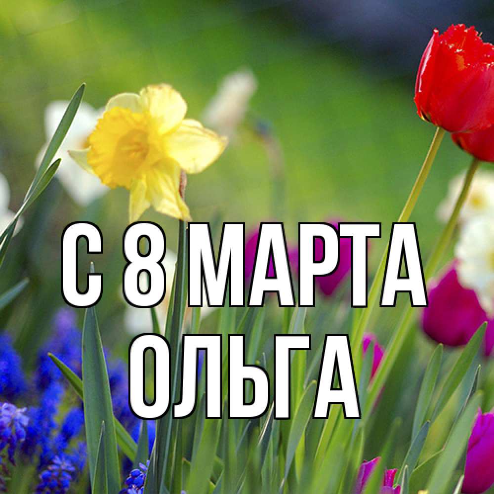 Открытка на каждый день с именем, Ольга C 8 МАРТА международный женский день 3 Прикольная открытка с пожеланием онлайн скачать бесплатно 