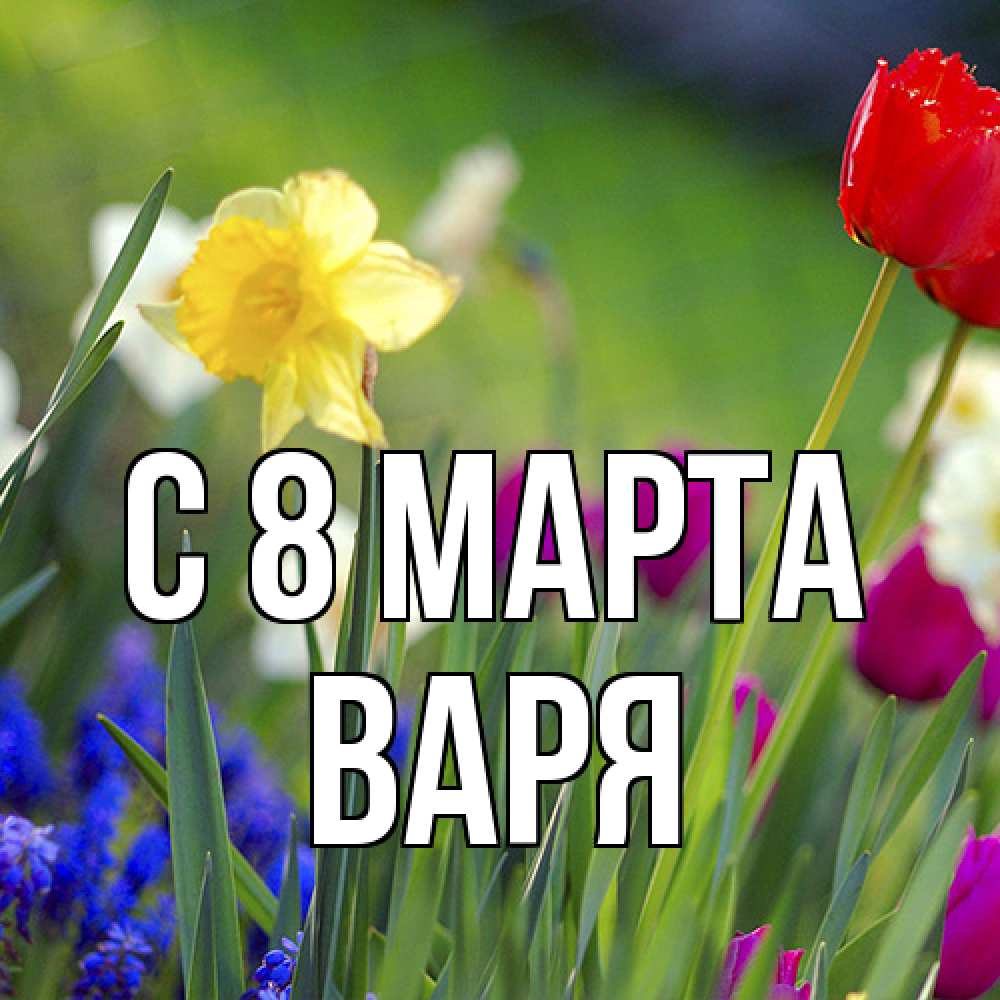 Открытка на каждый день с именем, Варя C 8 МАРТА международный женский день 3 Прикольная открытка с пожеланием онлайн скачать бесплатно 