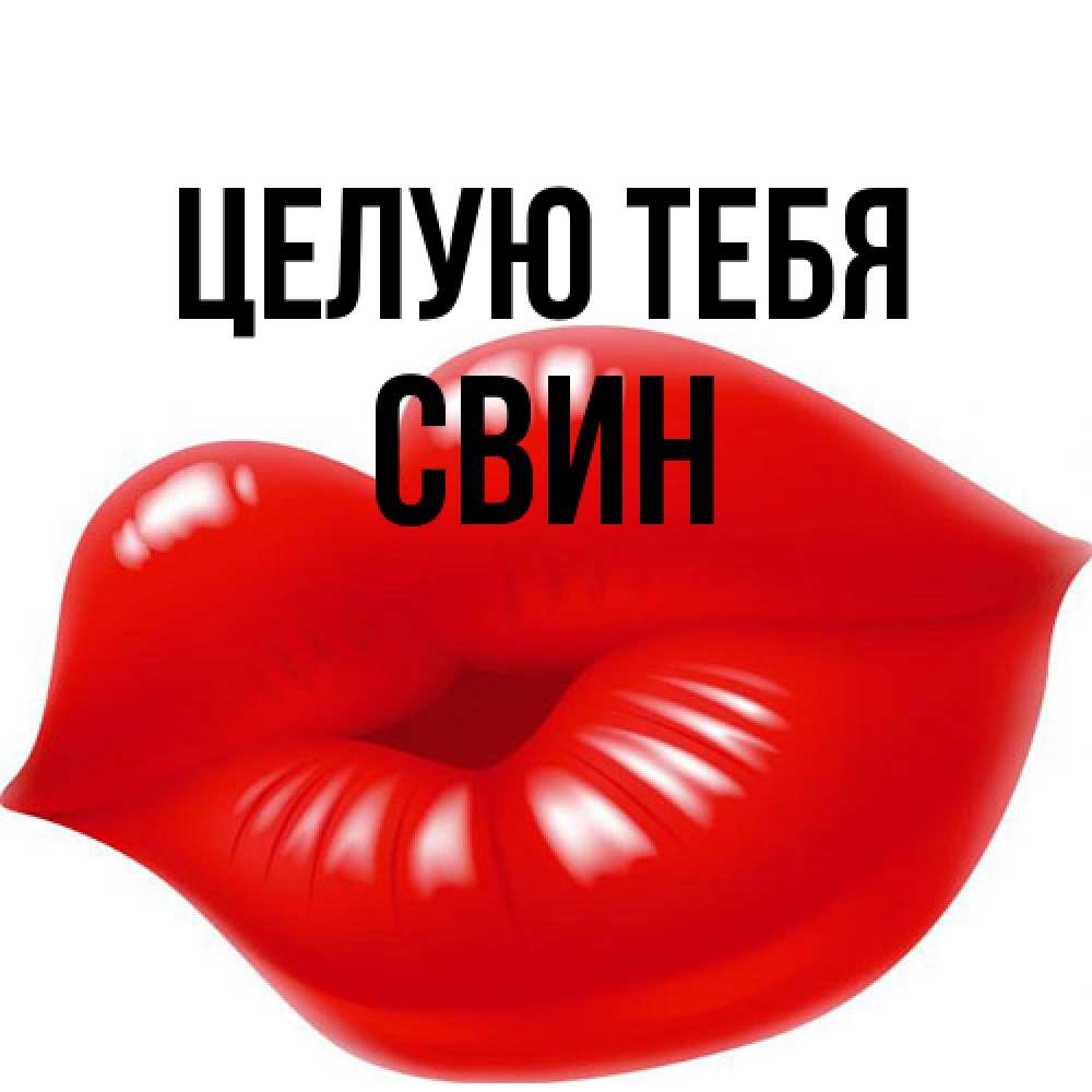 Открытка на каждый день с именем, Свин Целую тебя губки надутые бантиком Прикольная открытка с пожеланием онлайн скачать бесплатно 