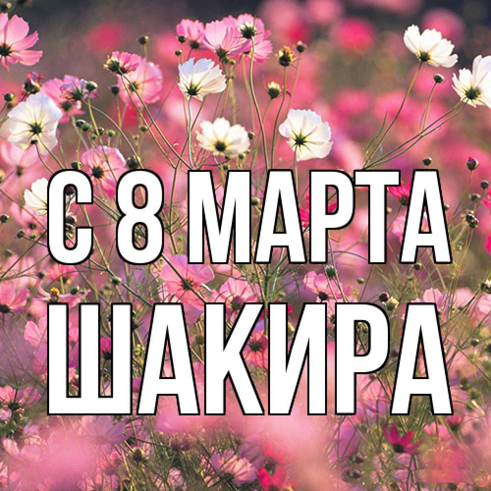 Открытка на каждый день с именем, Шакира C 8 МАРТА красиво 1 Прикольная открытка с пожеланием онлайн скачать бесплатно 