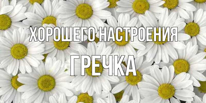 Картинка Хорошего настроения, Гречка