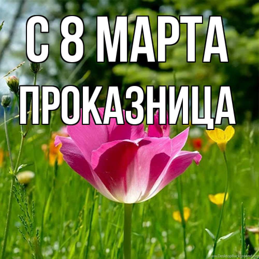 Открытка на каждый день с именем, Проказница C 8 МАРТА полевые цветы Прикольная открытка с пожеланием онлайн скачать бесплатно 