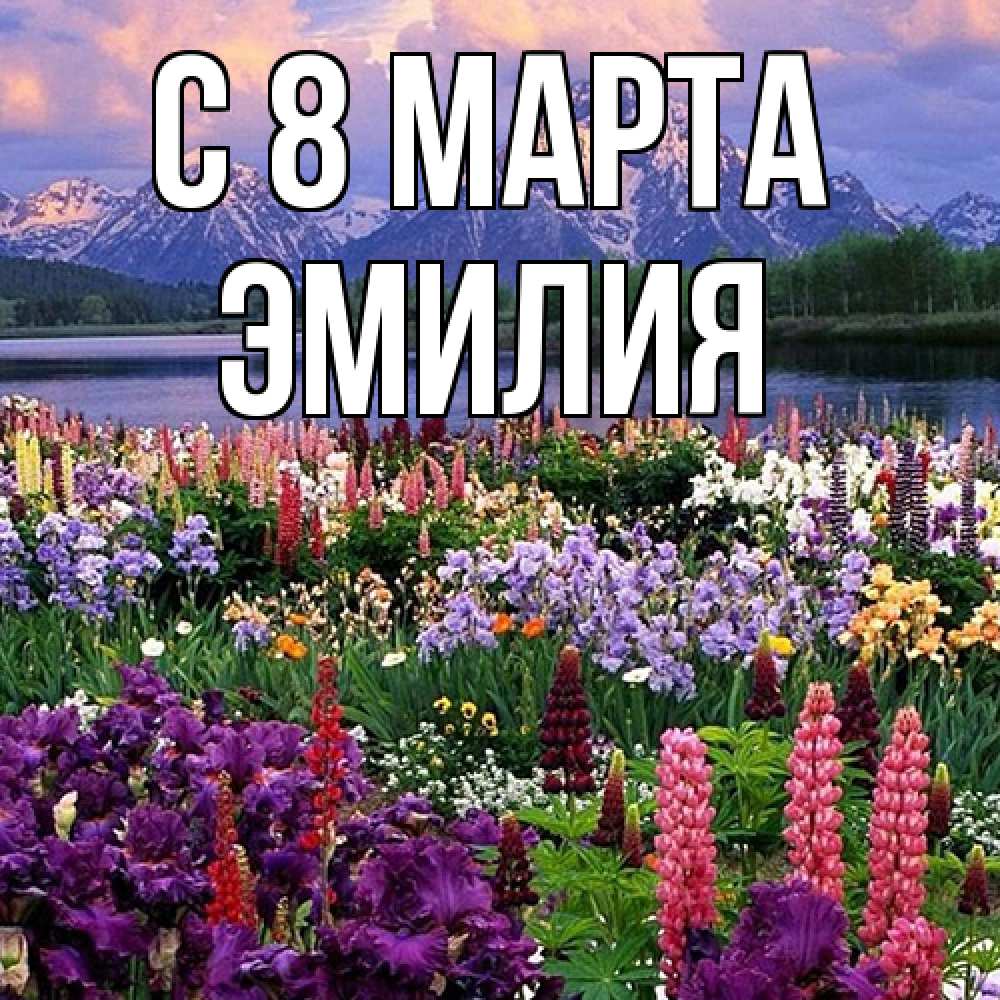 Открытка на каждый день с именем, Эмилия C 8 МАРТА международный женский день Прикольная открытка с пожеланием онлайн скачать бесплатно 