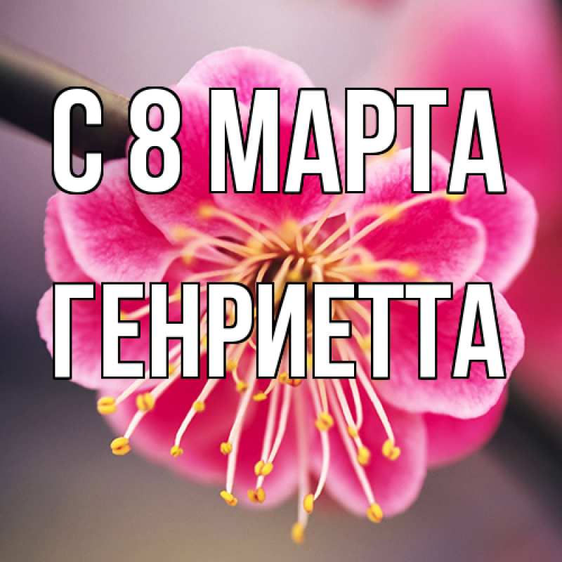 Картинка C 8 МАРТА, Генриетта