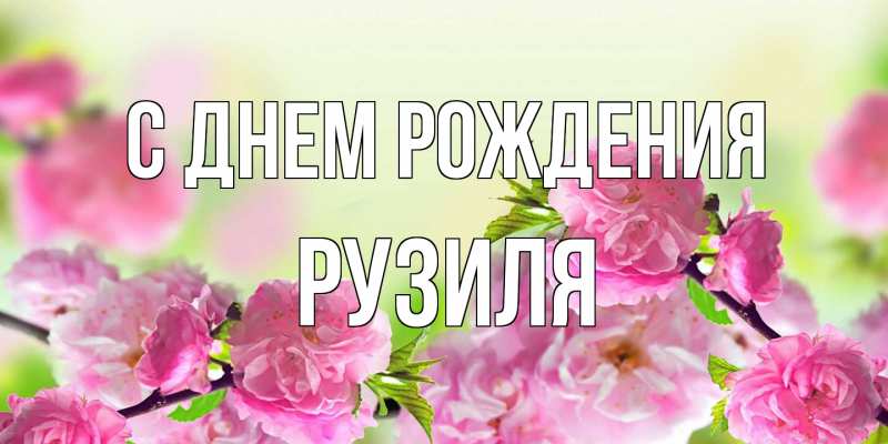 Картинка С днем рождения, Рузиля