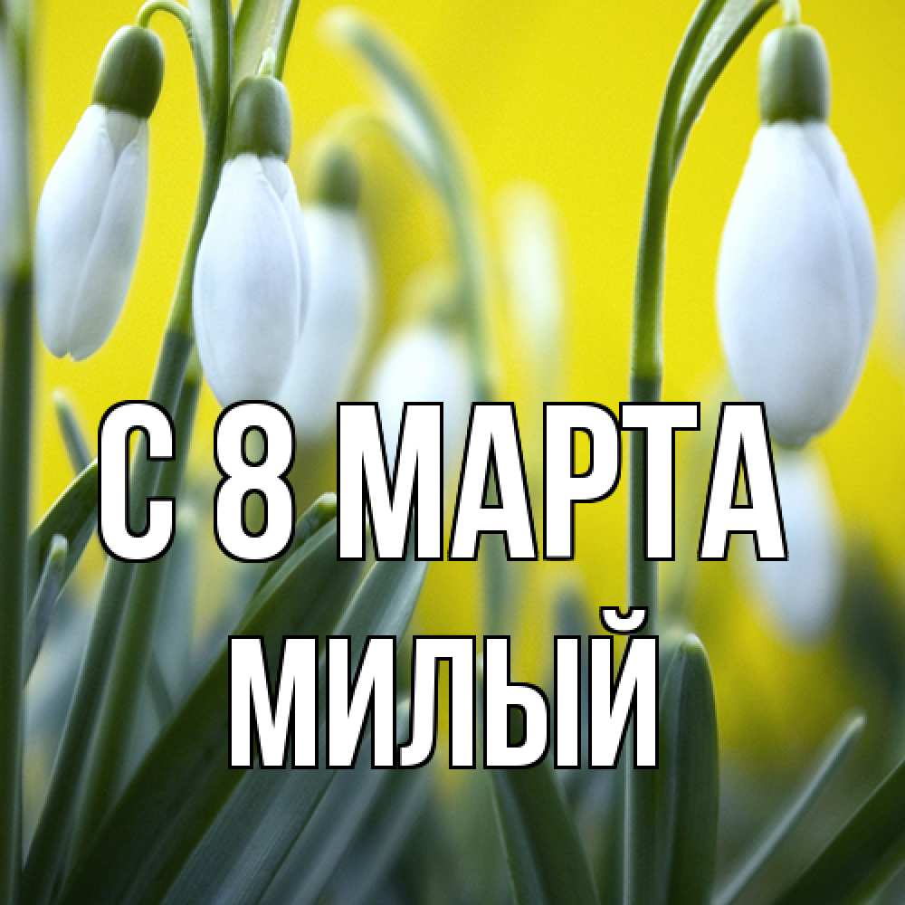 Открытка на каждый день с именем, Милый C 8 МАРТА весенние цветы Прикольная открытка с пожеланием онлайн скачать бесплатно 