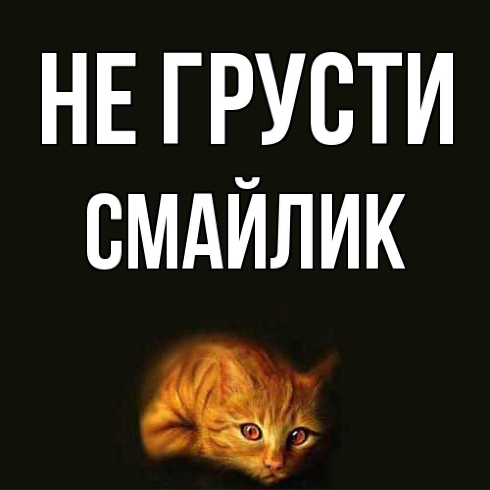 Открытка на каждый день с именем, Смайлик Не грусти лежащий кот в темноте Прикольная открытка с пожеланием онлайн скачать бесплатно 