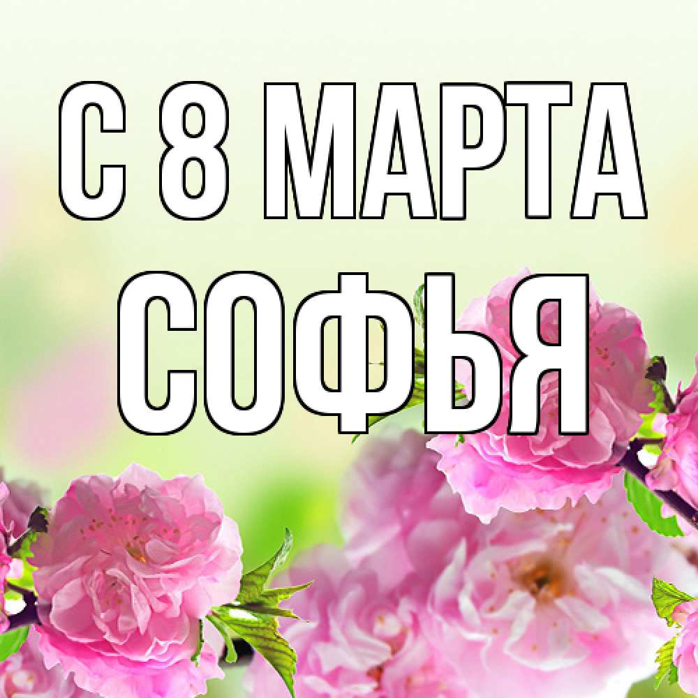 Открытка на каждый день с именем, Софья C 8 МАРТА цветы Прикольная открытка с пожеланием онлайн скачать бесплатно 