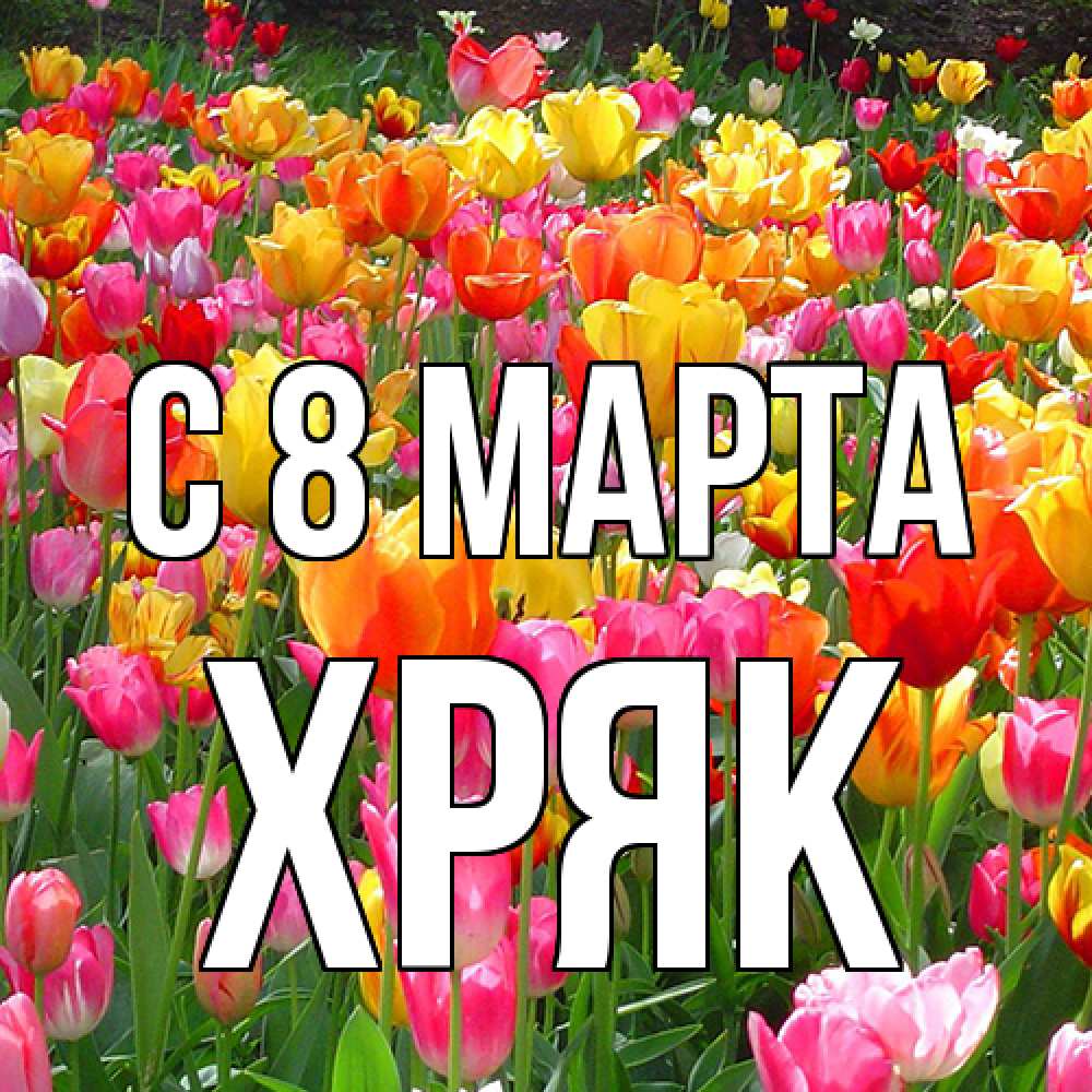 Открытка на каждый день с именем, Хряк C 8 МАРТА на международный женский день Прикольная открытка с пожеланием онлайн скачать бесплатно 