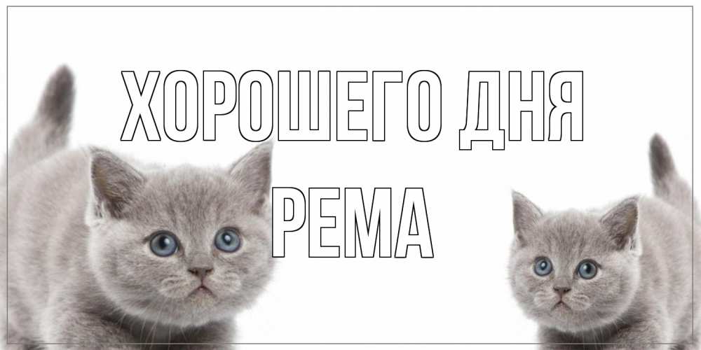 Открытка на каждый день с именем, Рема Хорошего дня открытка с котами Прикольная открытка с пожеланием онлайн скачать бесплатно 