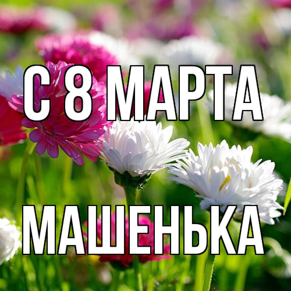 Открытка на каждый день с именем, Машенька C 8 МАРТА международный женский день 1 Прикольная открытка с пожеланием онлайн скачать бесплатно 