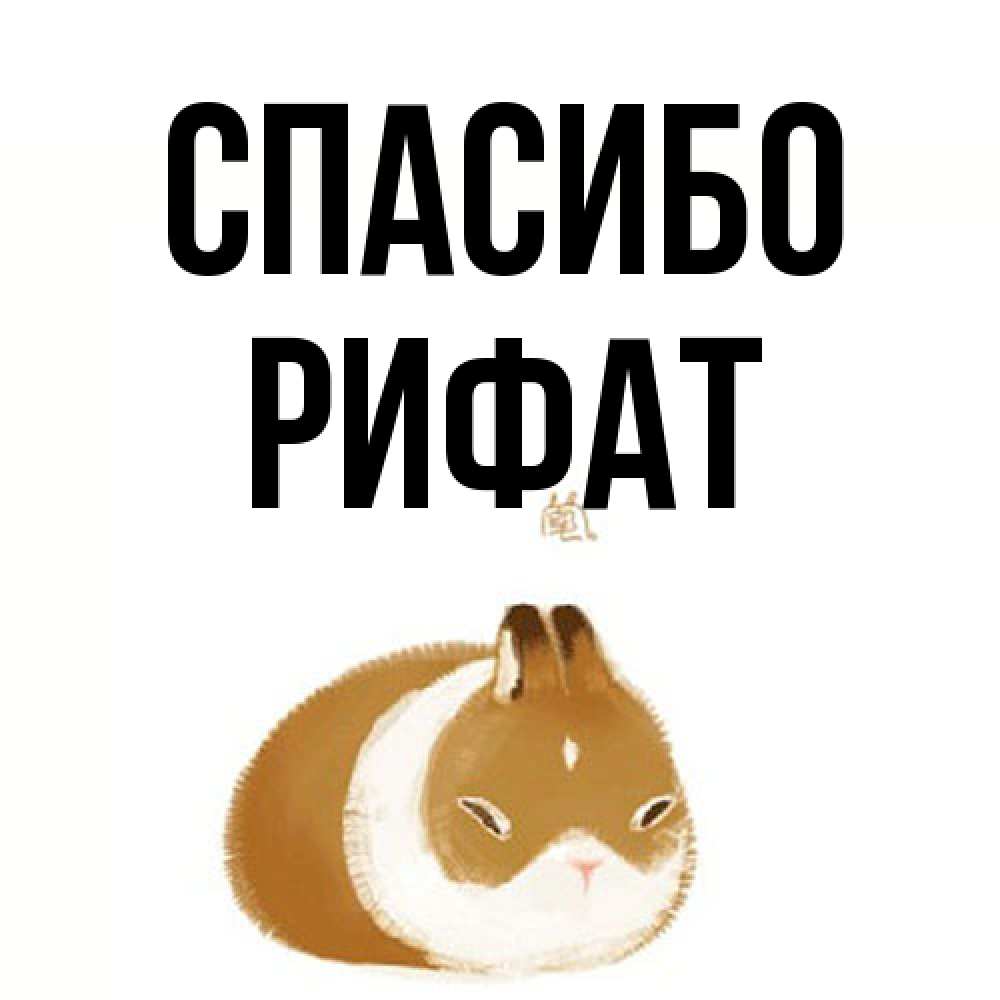 Открытка на каждый день с именем, Рифат Спасибо коричнево белый домашний питомец Прикольная открытка с пожеланием онлайн скачать бесплатно 