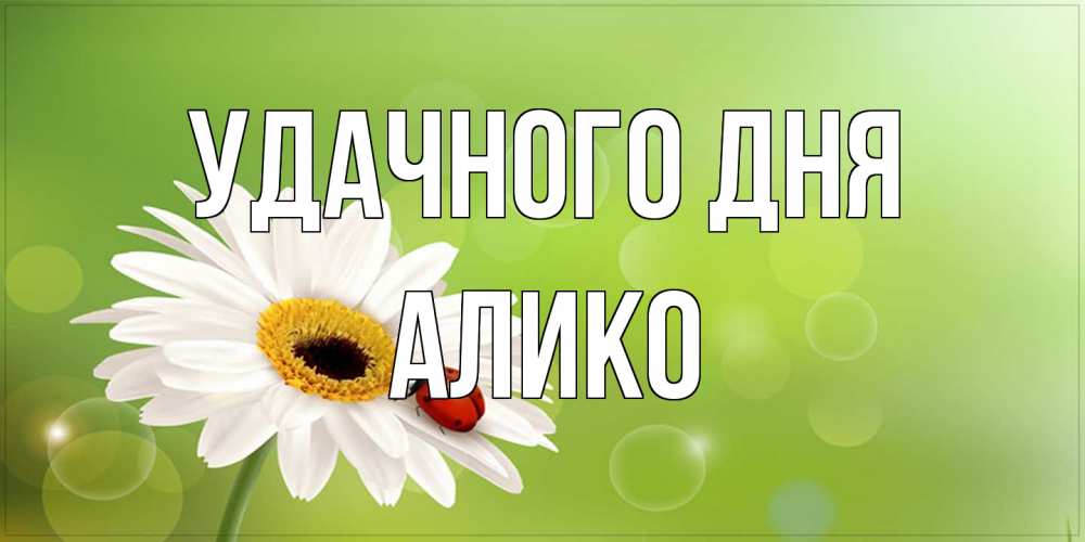 Открытка на каждый день с именем, Алико Удачного дня зеленый фон и ромашка Прикольная открытка с пожеланием онлайн скачать бесплатно 
