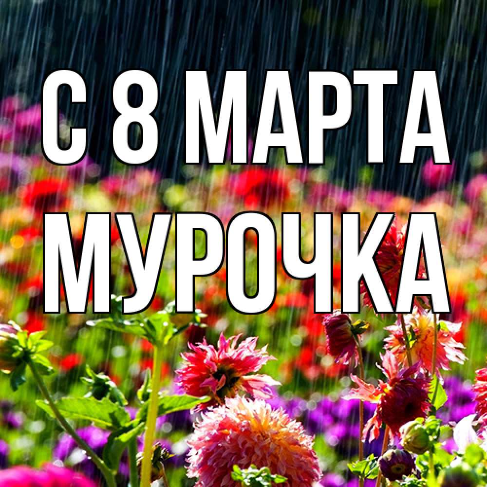Открытка на каждый день с именем, Мурочка C 8 МАРТА цветы под дождиком к международному женскому дню Прикольная открытка с пожеланием онлайн скачать бесплатно 