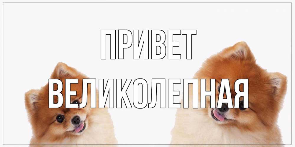 Открытка на каждый день с именем, великолепная Привет привет Прикольная открытка с пожеланием онлайн скачать бесплатно 