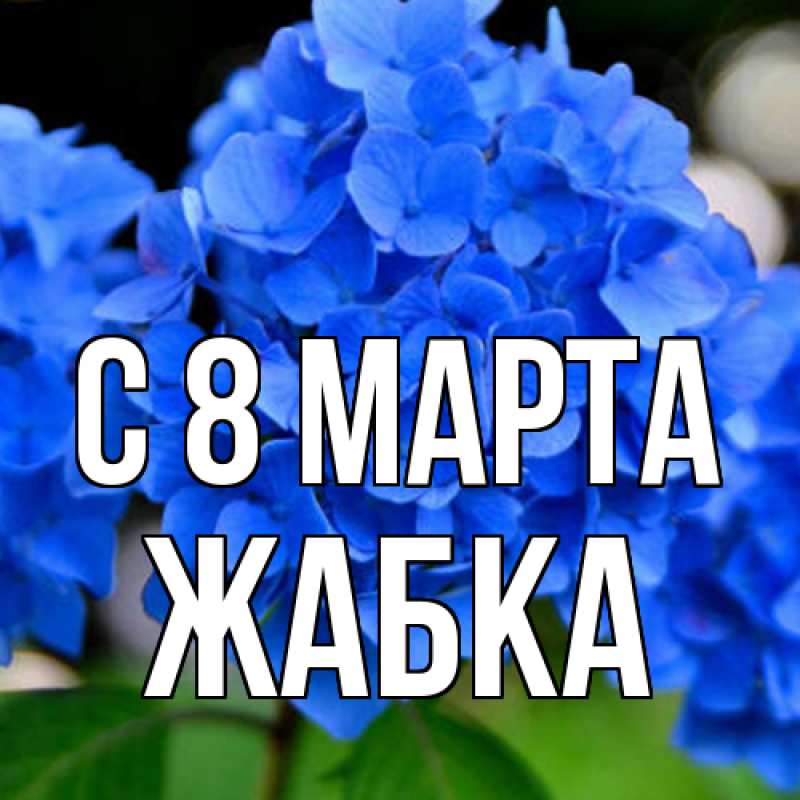 Картинка C 8 МАРТА, Жабка