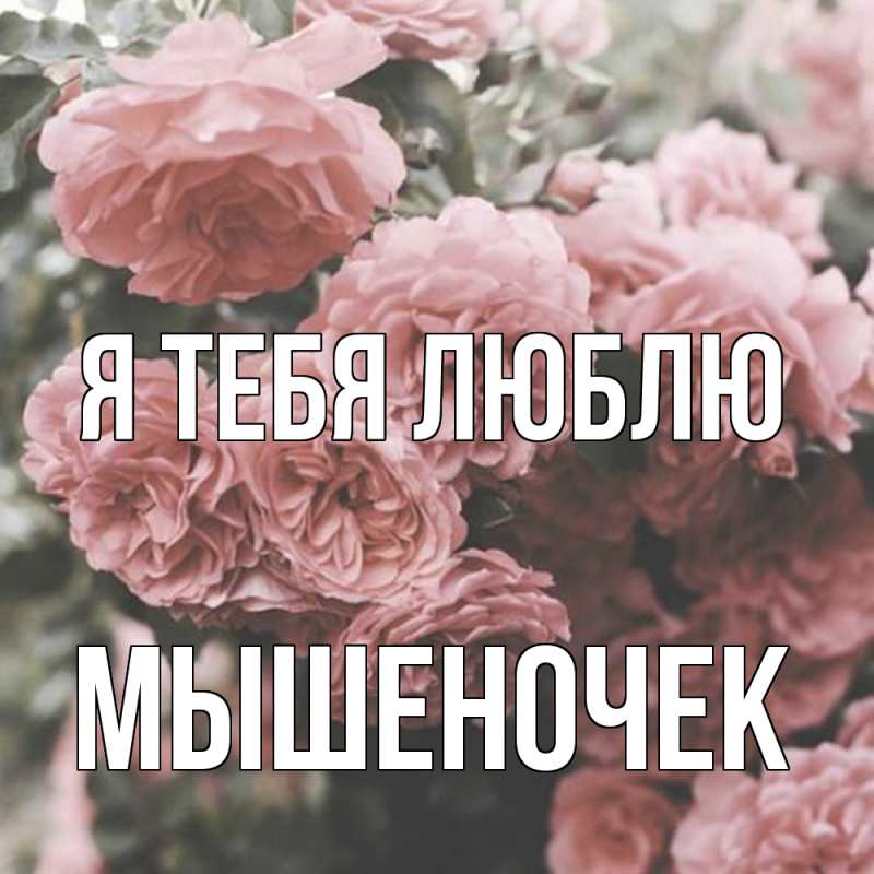 Картинка Я тебя люблю, Мышеночек