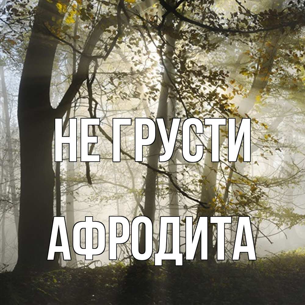 Открытка на каждый день с именем, Афродита Не грусти лес и свет Прикольная открытка с пожеланием онлайн скачать бесплатно 
