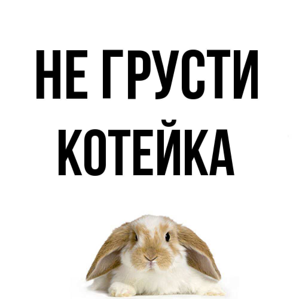 Открытка на каждый день с именем, Котейка Не грусти коричнево белый заяц с большими ушками Прикольная открытка с пожеланием онлайн скачать бесплатно 