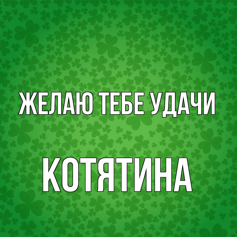 Открытка на каждый день с именем, Котятина Желаю тебе удачи много листочков на удачу Прикольная открытка с пожеланием онлайн скачать бесплатно 